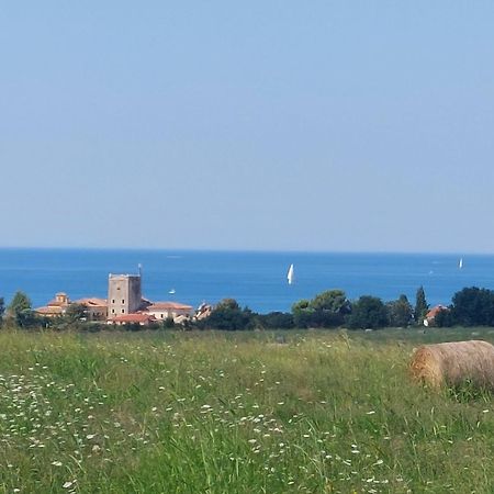 Apartments Henc Novigrad Istria Exteriér fotografie