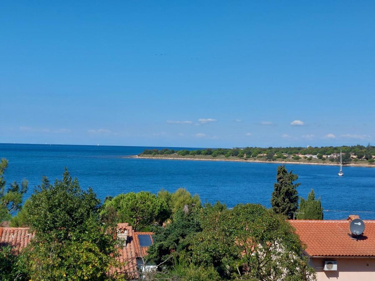 Apartments Henc Novigrad Istria Exteriér fotografie