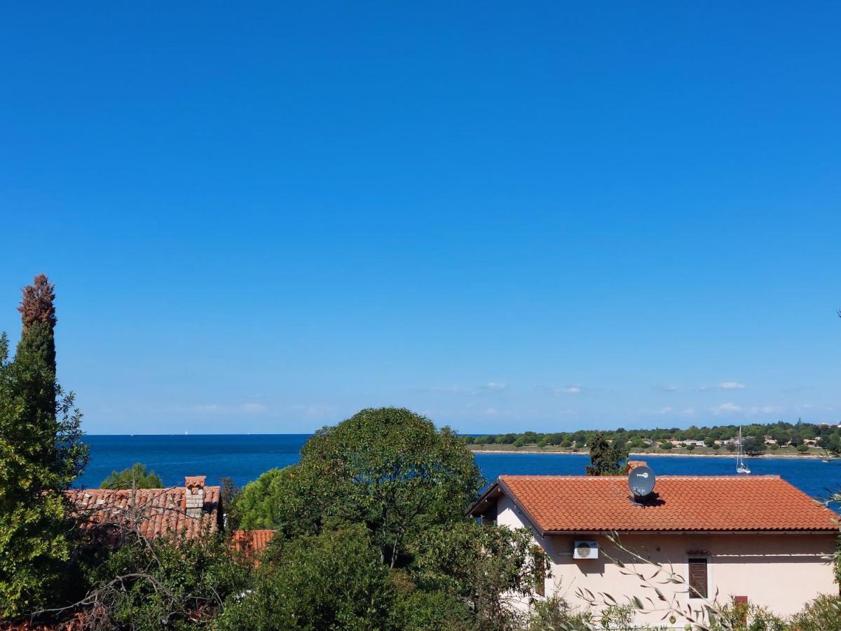 Apartments Henc Novigrad Istria Exteriér fotografie