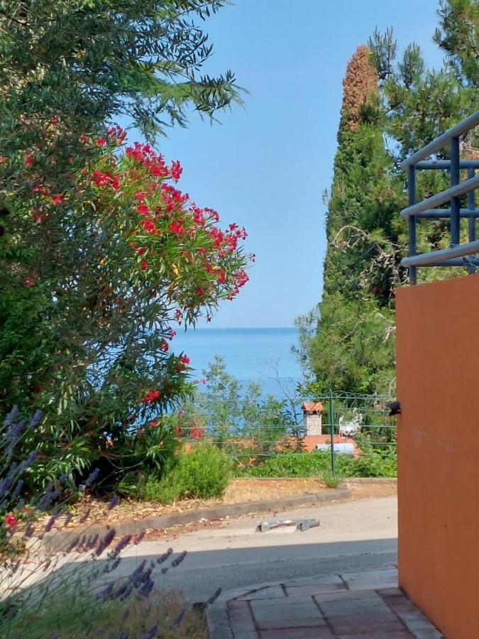Apartments Henc Novigrad Istria Exteriér fotografie