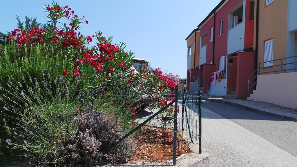 Apartments Henc Novigrad Istria Exteriér fotografie