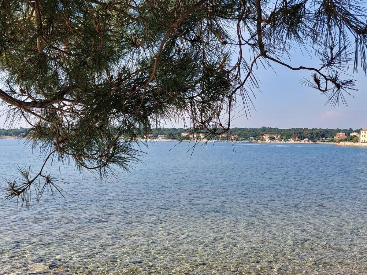 Apartments Henc Novigrad Istria Exteriér fotografie