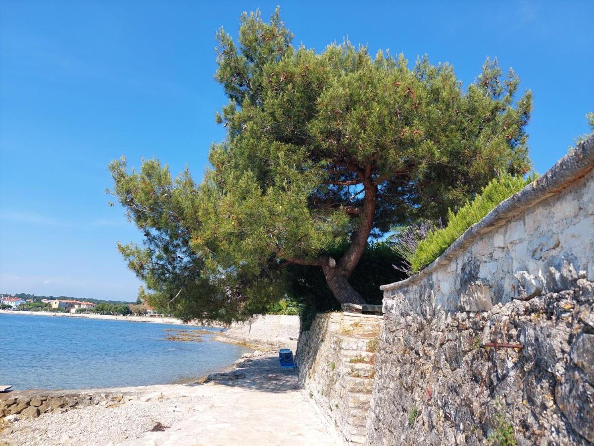 Apartments Henc Novigrad Istria Exteriér fotografie