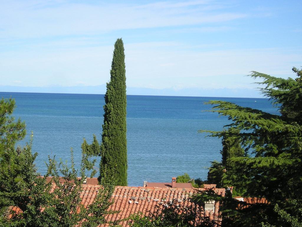 Apartments Henc Novigrad Istria Pokoj fotografie